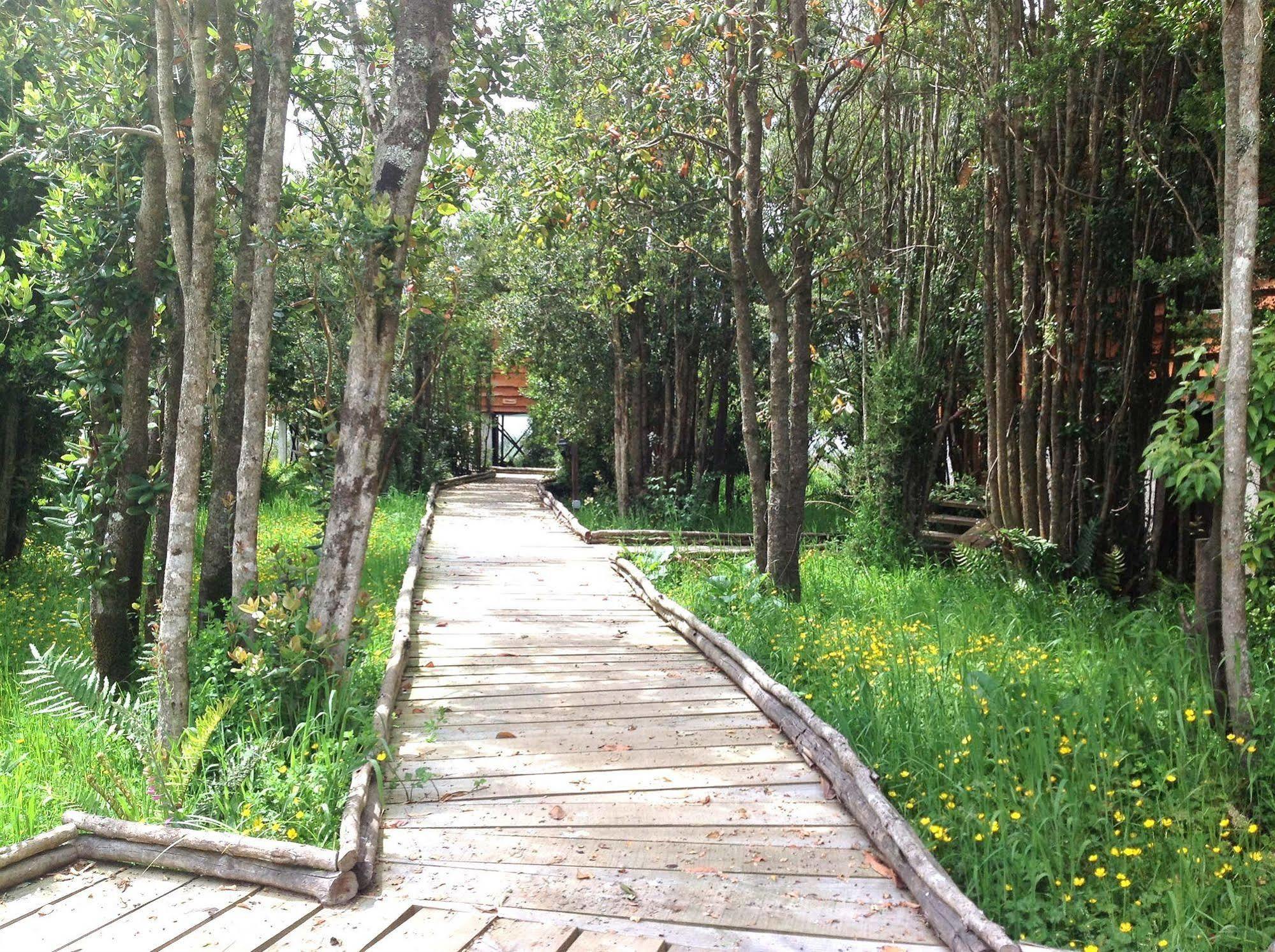 Cabanas Gracias A La Vida Lodge 巴拉斯港 外观 照片