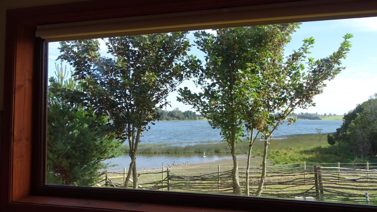 Cabanas Gracias A La Vida Lodge 巴拉斯港 外观 照片